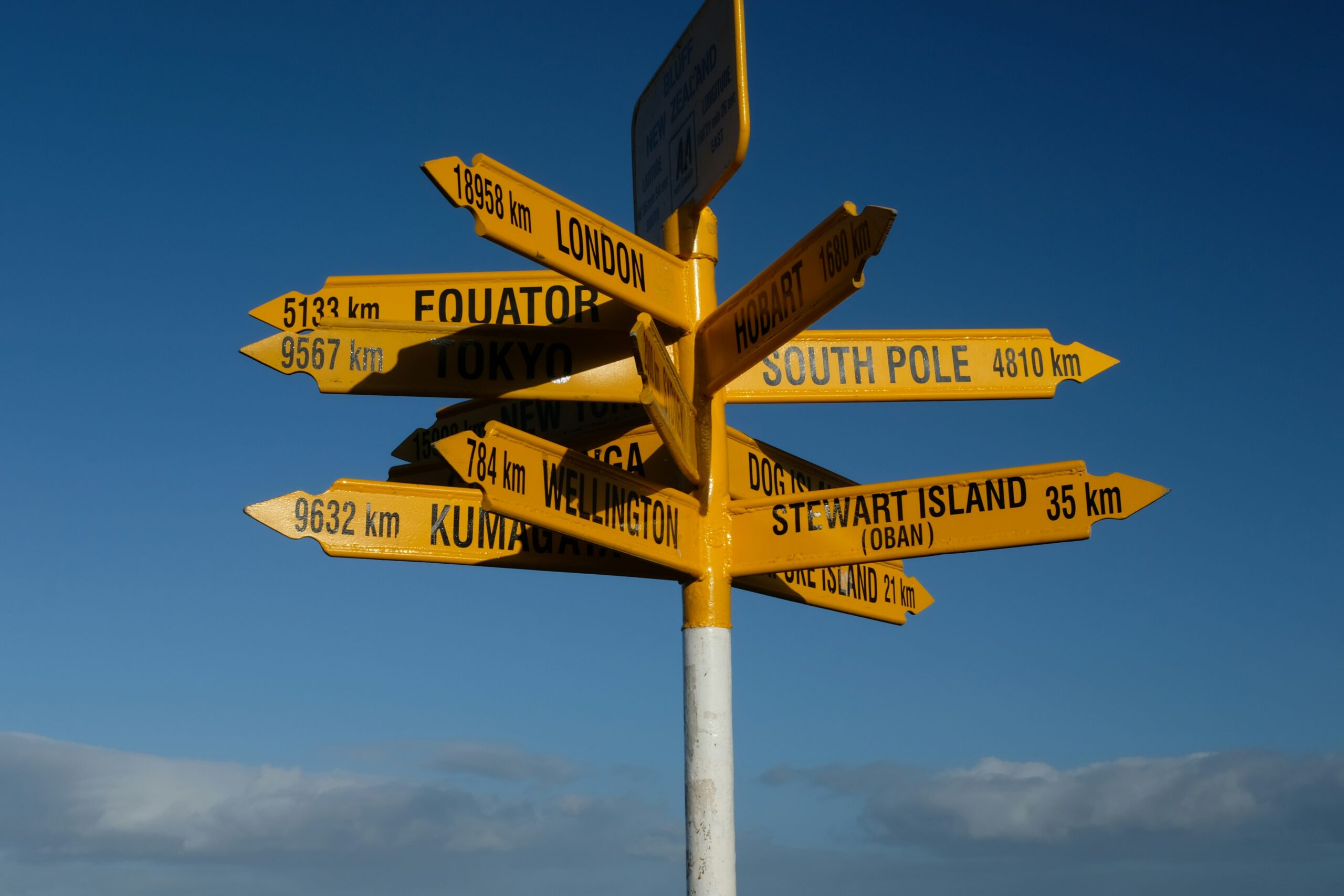 Nonprofit decision making